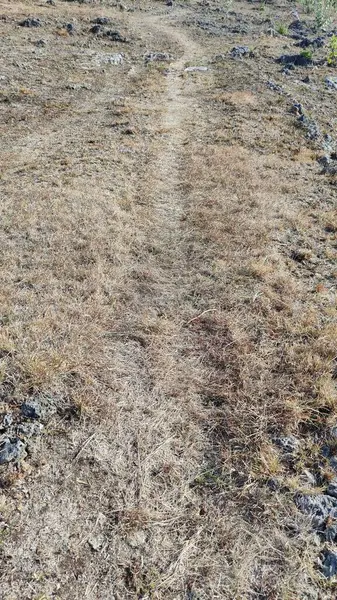 Paths with dry grass due to the dry season. barren and dry land
