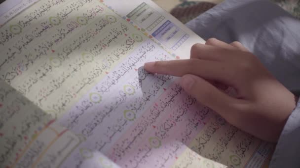 Colour Coded Quran Easy Tajweed Memorization Being Reading Finger — Stock Video
