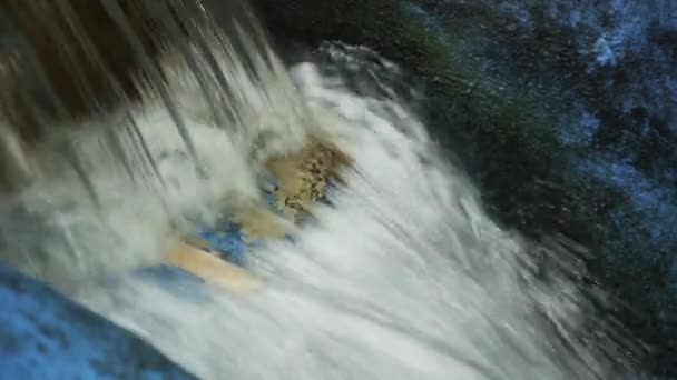 Міцний Потік Води Гірських Джерел Забезпечує Прісну Воду Задоволення Потреб — стокове відео