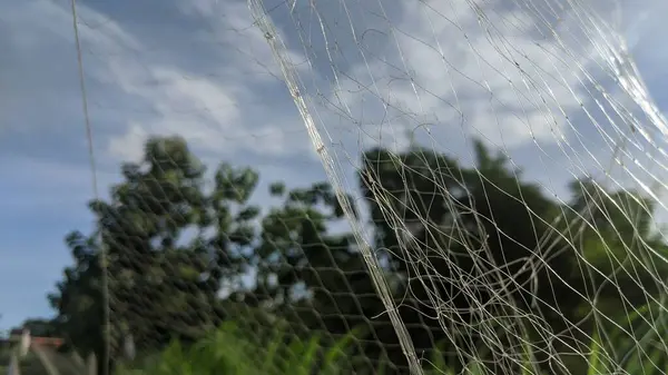 Avluda kuruyan balık ağları, seçici odak