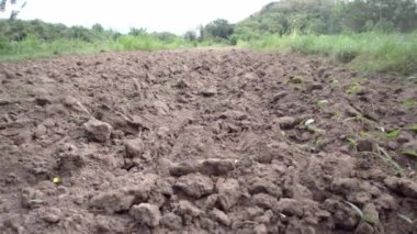 Kuru toprak traktörle sürmeyi bitirdi ve bitki tohumları yetiştirdi. Modern tarım ve sulama sektörü kavramı.