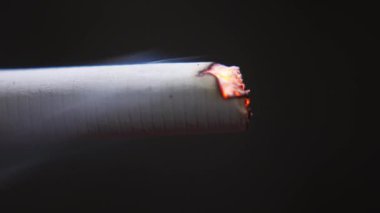 Sigara yakar ve yanan bir sigaradan duman çıkarır. Yanan bir sigaranın makro videosu ve siyah bir arka planda için için için için için yanan yakın plan.