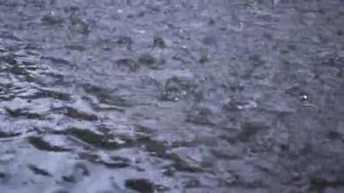 Yoğun yağmur damlaları yerdeki su birikintilerine düşer. Güzel Yağmur, Çiseleyen Yağmur, Yumuşak Yağmur.