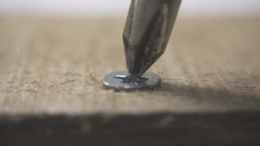 Tahtadan cıvataları sökmek için dönen elektrikli tornavidanın kapanışı. Elektrikli tornavida matkap ucu matkap ucu matkap vida