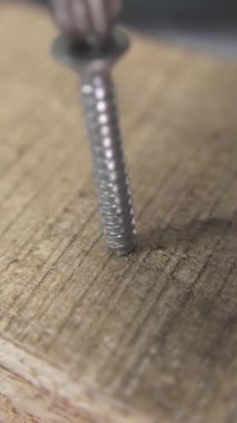 Bir tornavidayı tahta bir yüzeye sıkıştıran bir tornavidayı makro açıdan görmek. Elektrikli tornavida, tahta yüzeye metal vida takıyor.