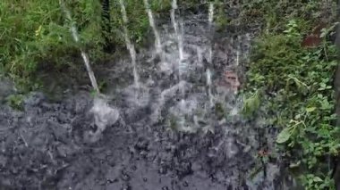 Çim ve bitki örtüsüne düşen yağmur suyu dereleri aşağıdaki havuz yüzeyinde dalgalanmalar yaratır..