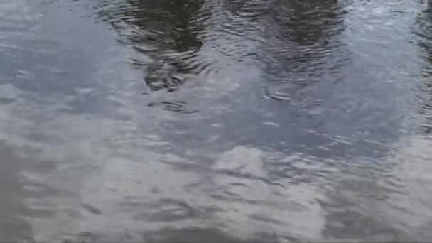川の流れに反射して静的ショット — ストック動画
