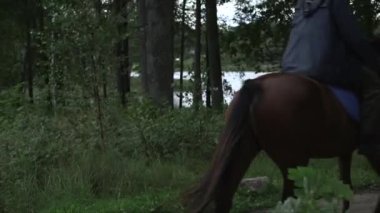 Çerçevenin içinden geçen sürücülerin statik görüntüleri. Arka planda orman ve göl.