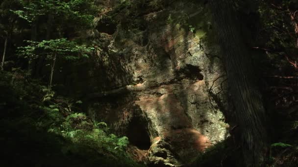 Dolly Shot Sandstone Rock Cave — стоковое видео