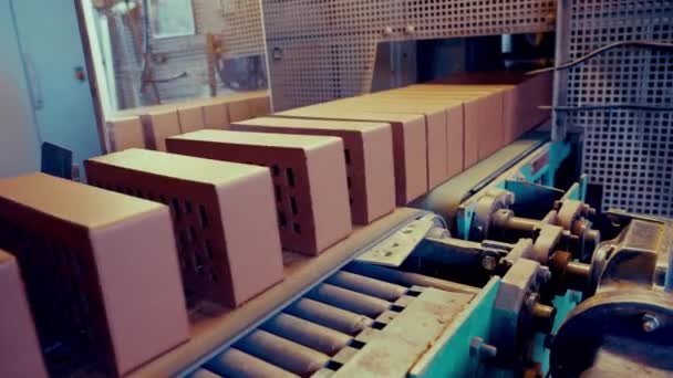 Brick Produktionslinje Lermassa Transportband Som Skärs Tegel Spegel Bakgrunden Linjestopp — Stockvideo