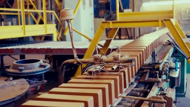 Linia Produkcyjna Cegieł Świeże Cegły Gliniane Przenośniku Taśmowym — Wideo stockowe