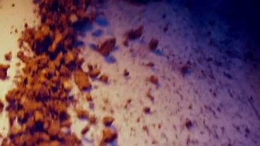 Metal plakadan düşen kil taşları. Arka plan videosu için iyi. Meditasyon. Yavaş çekim 25Perc. 4k.