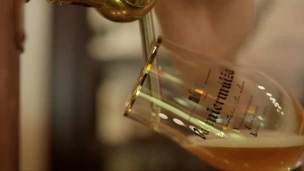 Статичний Макро Знімок Вапнякового Пива Виливається Пивний Келих 1080P — стокове відео