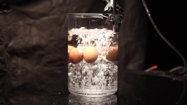 Huevos Hirviendo Preparación Alimentos Agua Llena Burbujas — Vídeos de Stock