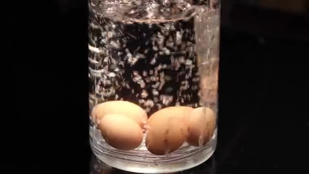 Eieren Koken Voedselbereiding Water Vol Bubbels — Stockvideo
