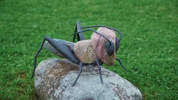 有趣的蚂蚁石雕和金属雕塑 用石头和钢铁做成的有趣的蚂蚁雕塑的多利镜头 — 图库视频影像