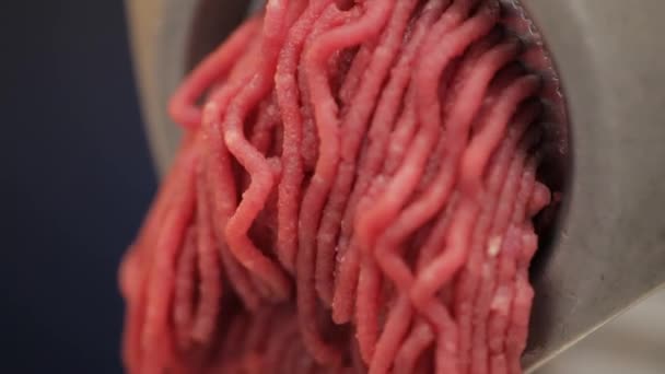 Statyczne Makroujęcie Mięsa Przechodzące Przez Czystą Nową Płytkę Szlifierki — Wideo stockowe