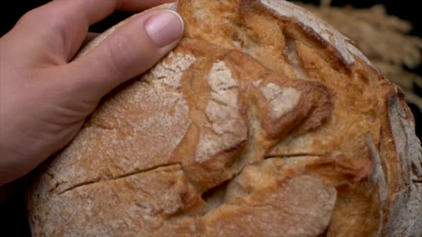 Статичний Макро Повільний Знімок Рухів Жіночих Пальців Ламають Білий Хліб — стокове відео
