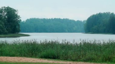 Sahillerinde ormanları olan güzel gölün durgun geniş görüntüsü.