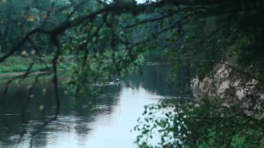 Bir kayığın durgun geniş bir görüntüsü manzaralı bir nehir boyunca ilerliyor, ağaçların dalları arasından bakıyor.