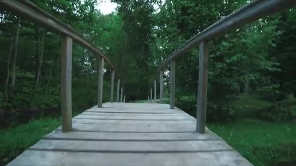 Широкоугольный Кадр Камера Пересекающая Небольшой Деревянный Пешеходный Мост Парке — стоковое видео
