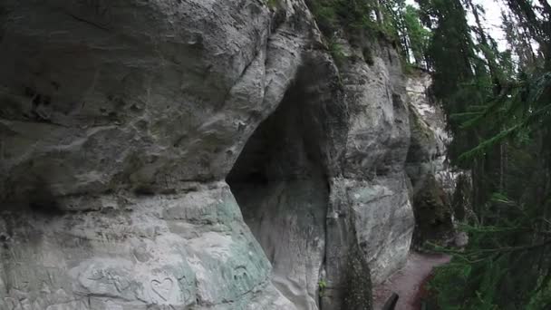 Широкий Панорамний Знімок Видом Знизу Старого Мохоподібного Сірого Каменю — стокове відео