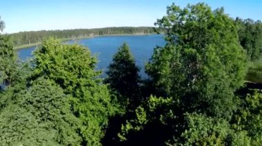 Güzel bir göl manzarası olan ağaçların yaprakları arasında uçan insansız hava aracı görüntüleri.