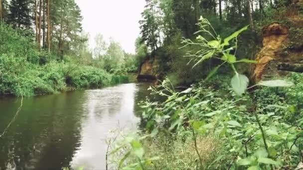 Statyczne Szerokie Ujęcie Wspaniałych Krajobrazów Rzek Leśnych Piaskowcowych Klifów — Wideo stockowe