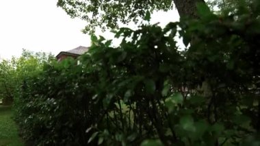 Park bahçesinin kenarından konsere hazırlanan eski ve yenilenmiş bir malikânenin manzarası.
