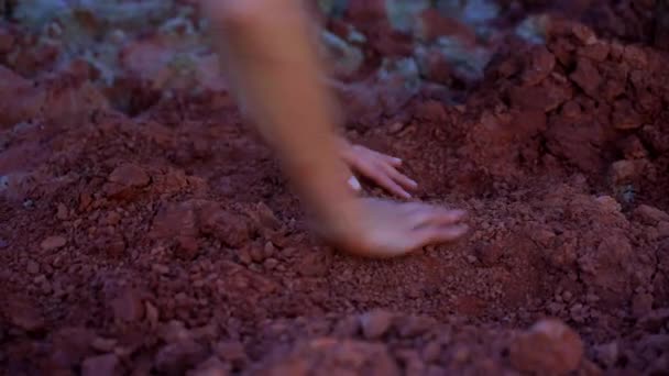 Hand Held Camera Woman Hands Caressing Crumbly Clay Earth Small — Stock Video