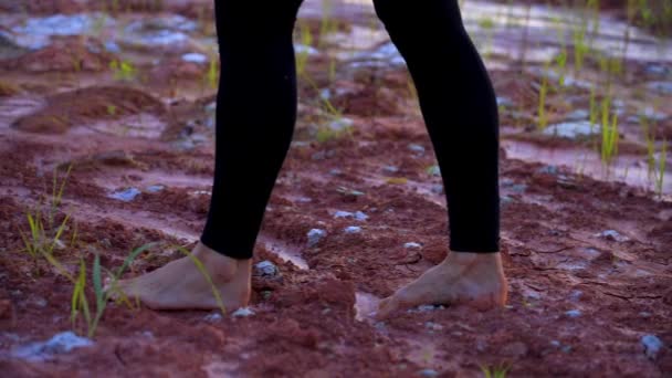 Panning Zblízka Záběr Ženy Kráčející Bosýma Nohama Zvadlé Přírodní Hlíny — Stock video