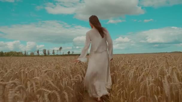Steady Icam Medium Shot Woman Walking Wheat Field Levitating Touching — стоковое видео