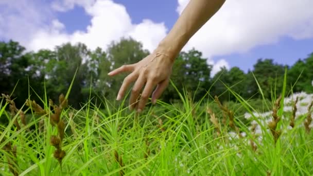 園内の花畑で女の手が空中で踊る姿を間近で見た手4Kスローモーション — ストック動画