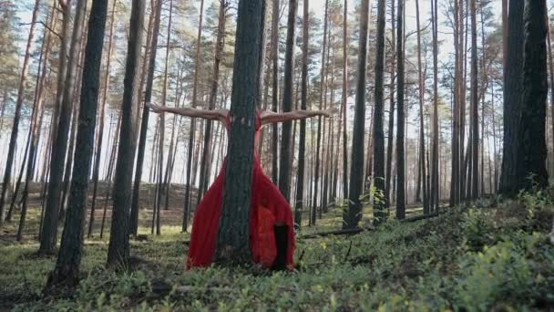 Ruce Držel Široký Záběr Ženy Červených Šatech Tančící Tango Vyhořelém — Stock video