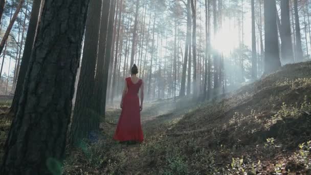 Mano Una Mujer Con Vestido Rojo Saliendo Bosque Pino Quemado — Vídeo de stock