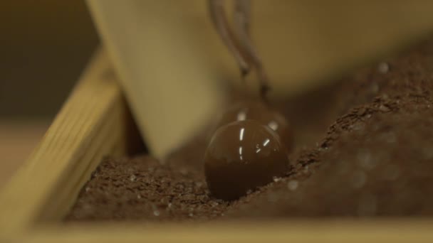 Статический Макроснимок Шоколадных Шариков Покрытых Шоколадной Крошкой — стоковое видео