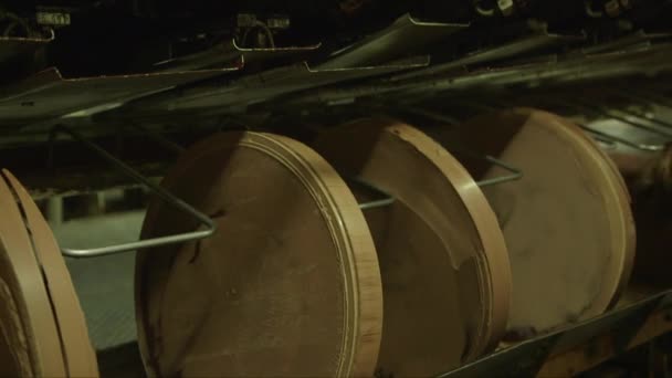 Çikolata Fabrikasında Kakao Diskleri Düzenleyen Bir Işçinin Statik Orta Pozu — Stok video