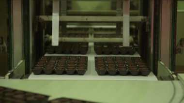 Şekerleme kalıplarının çikolata fabrikasındaki bir paket çikolatadan ayrılırken çekilmiş statik görüntüsü.