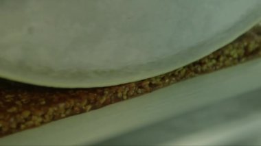 Jöle kütleli statik makro çekim ve çikolata fabrikasındaki konveyör hattında basın bülteninin altında fındık