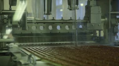 Kesme makinesinden geçen konveyör hattında bölünmüş şekerin durağan orta büyüklükte görüntüsü