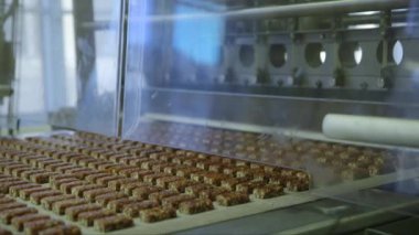 Kesme makinesinden geçen konveyör hattında bölünmüş şekerin durağan orta büyüklükte görüntüsü