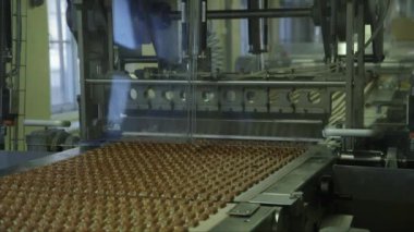 Kesme makinesinden geçen konveyör hattında bölünmüş şekerin durağan orta büyüklükte görüntüsü