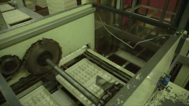 チョコレート工場でチョコレートのパッケージから分離された飴型の静止中のショット — ストック動画