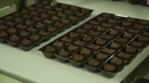 Primo Piano Statico Cioccolatini Pacchetto Una Linea Trasportatori Una Fabbrica — Video Stock