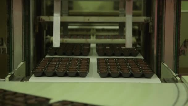Plano Medio Estático Moldes Caramelo Que Separa Paquete Chocolates Una — Vídeos de Stock