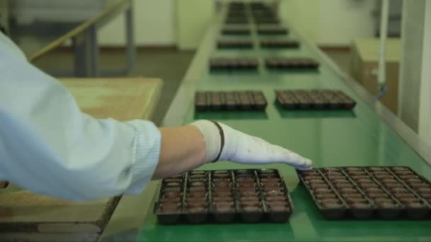 초콜릿 공장의 컨베이어 라인에 포장에 캔디를 배치하는 직원의 — 비디오