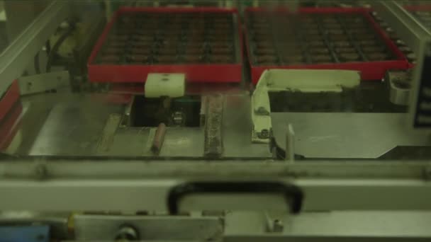 초콜릿 공장에 컨베이어 라인의 패키지 초콜릿의 정전기에 — 비디오