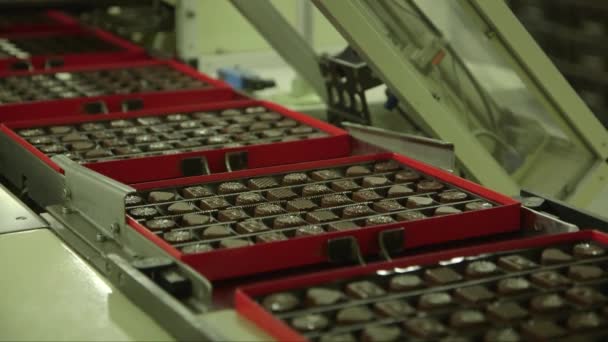 Статический Крупный План Шоколадных Конфет Упаковке Конвейере Шоколадной Фабрике — стоковое видео