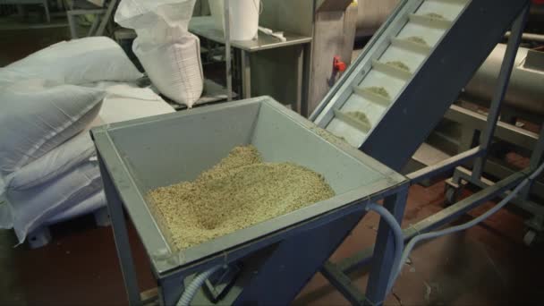 Satic Medium Shot Chopped Nuts Being Fed Feeder Conveyor Belt — Stock Video