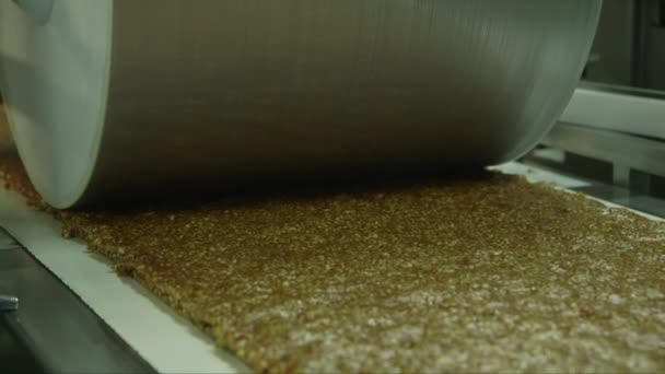 糖果厂压水线上大量果冻和坚果的静态特写镜头 — 图库视频影像
